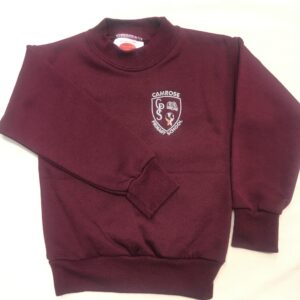 Camrose Primary School PE Round Neck PE Sweatshirt