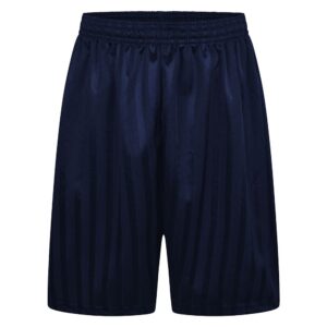 Navy Blue Shadow Stripe PE shorts