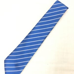 Norbury School Tie
