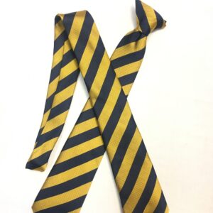 Whitefriars High School Tie (Two Tone)