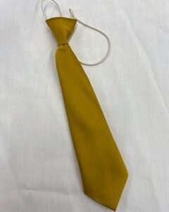Hujjat School Tie